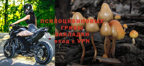 синтетический гашиш Елизово