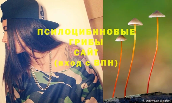 стафф Белокуриха