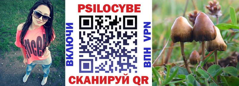 Псилоцибиновые грибы Psilocybine cubensis  мега рабочий сайт  Канаш  цены  