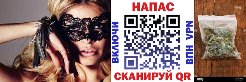 Конопля конопля  Канаш 